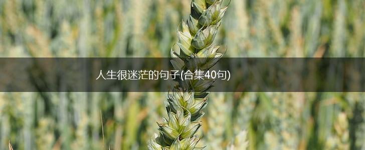 人生很迷茫的句子(合集40句),第1张