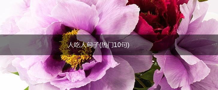 人吃人句子(热门10句),第1张