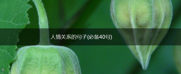 人情关系的句子(必备40句),第1张