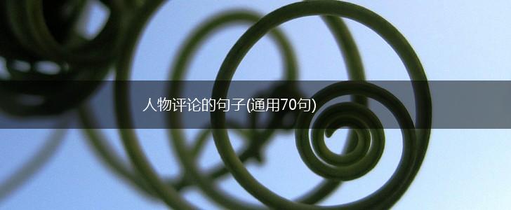 人物评论的句子(通用70句),第1张