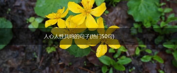 人心人性共鸣的句子(热门50句),第1张