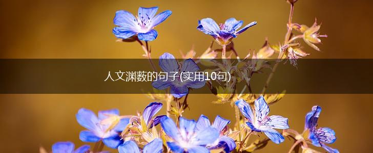 人文渊薮的句子(实用10句),第1张