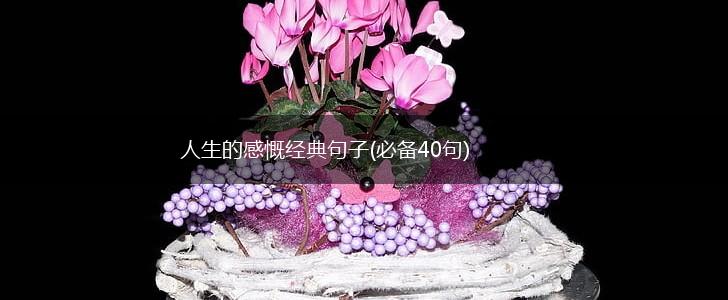 人生的感慨经典句子(必备40句),第1张