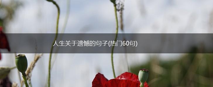 人生关于遗憾的句子(热门60句),第1张