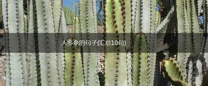 人多余的句子(汇总10句),第1张