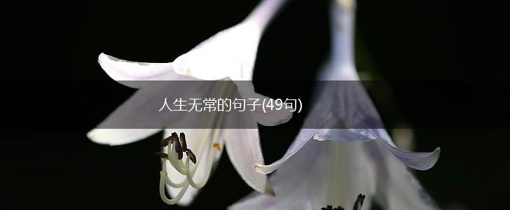 人生无常的句子(49句),第1张