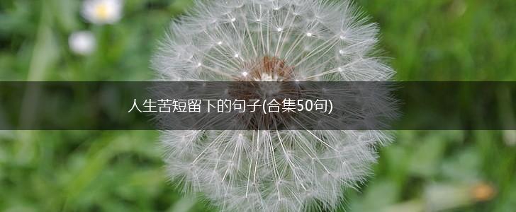 人生苦短留下的句子(合集50句),第1张