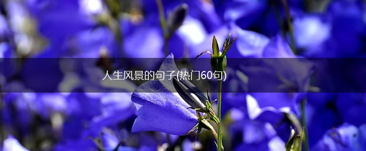 人生风景的句子(热门60句),第1张