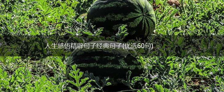 人生感悟精辟句子经典句子(优选60句),第1张