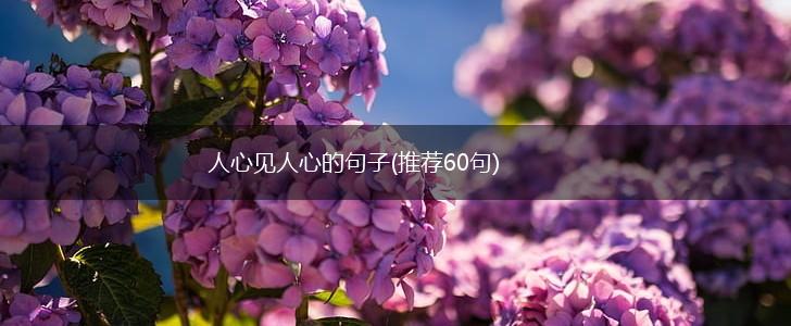 人心见人心的句子(推荐60句),第1张