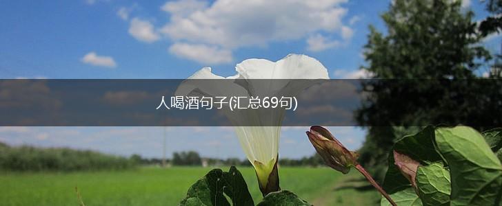 人喝酒句子(汇总69句),第1张