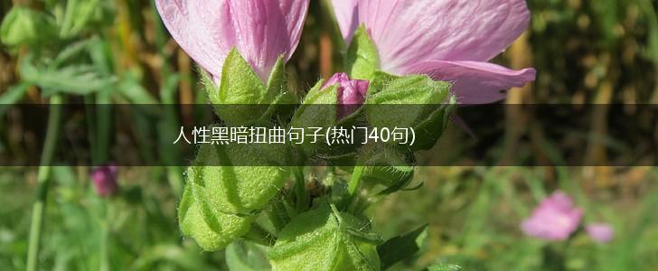 人性黑暗扭曲句子(热门40句),第1张