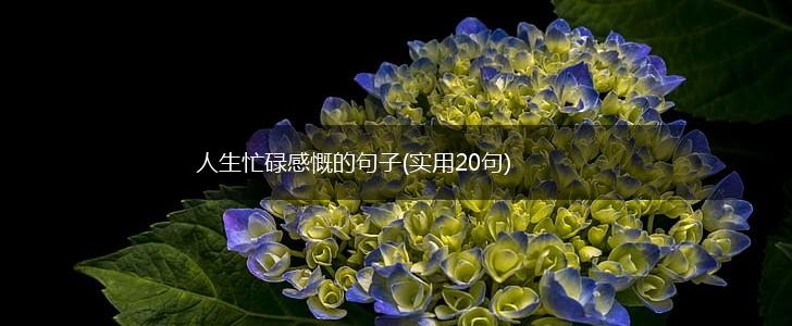 人生忙碌感慨的句子(实用20句),第1张