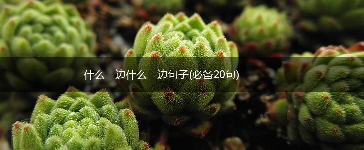 什么一边什么一边句子(必备20句),第1张