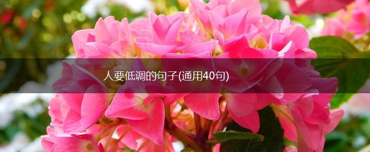 人要低调的句子(通用40句),第1张