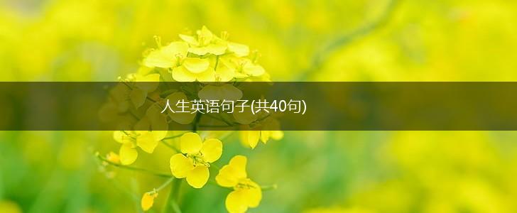 人生英语句子(共40句),第1张