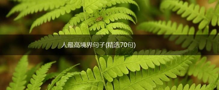 人最高境界句子(精选70句),第1张