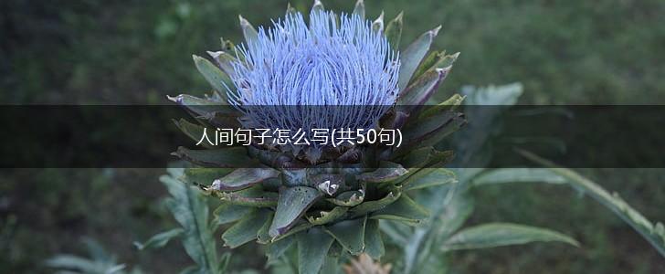 人间句子怎么写(共50句),第1张