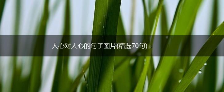 人心对人心的句子图片(精选70句),第1张