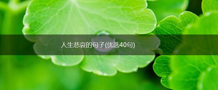 人生悲哀的句子(优选40句),第1张