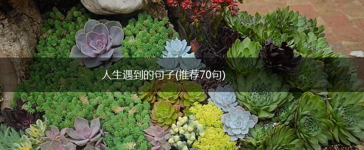 人生遇到的句子(推荐70句),第1张