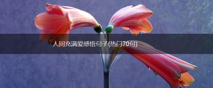 人间充满爱感悟句子(热门70句),第1张