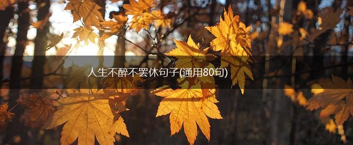 人生不醉不罢休句子(通用80句),第1张