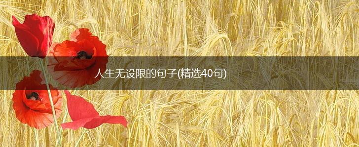 人生无设限的句子(精选40句),第1张