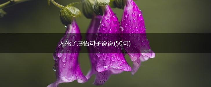 人死了感悟句子说说(50句),第1张