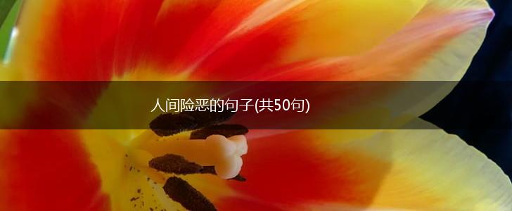 人间险恶的句子(共50句),第1张