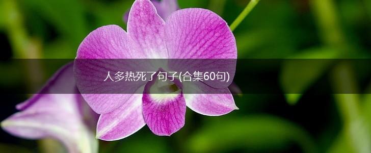 人多热死了句子(合集60句),第1张