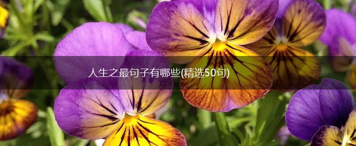 人生之最句子有哪些(精选50句),第1张