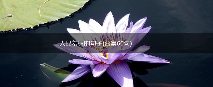 人品羞辱的句子(合集60句),第1张