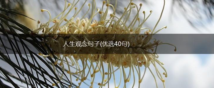 人生观念句子(优选40句),第1张