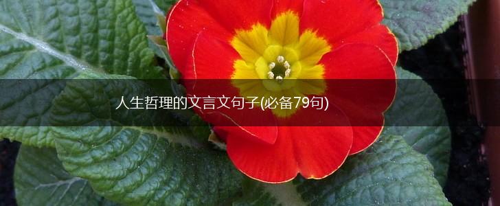 人生哲理的文言文句子(必备79句),第1张