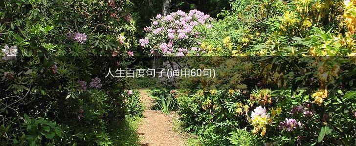 人生百度句子(通用60句),第1张
