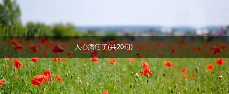 人心痛句子(共20句),第1张