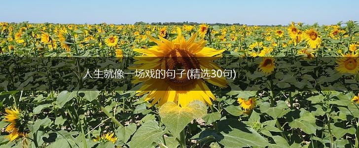 人生就像一场戏的句子(精选30句),第1张