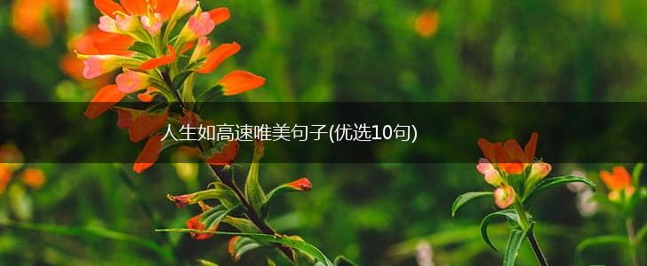人生如高速唯美句子(优选10句),第1张