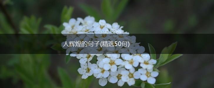 人辉煌的句子(精选50句),第1张