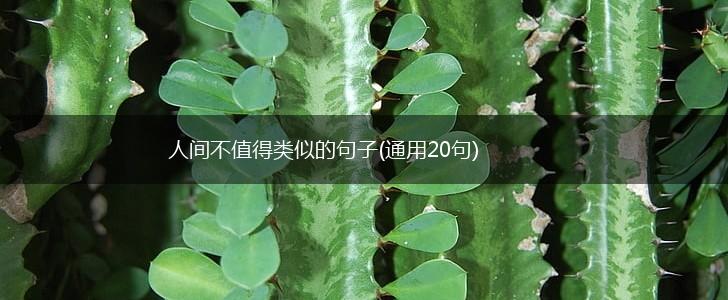 人间不值得类似的句子(通用20句),第1张