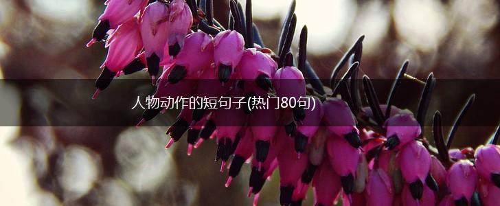 人物动作的短句子(热门80句),第1张