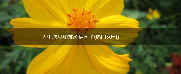 人生遇见朋友感悟句子(热门50句),第1张