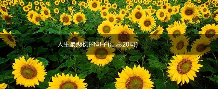 人生最悲伤的句子(汇总20句),第1张