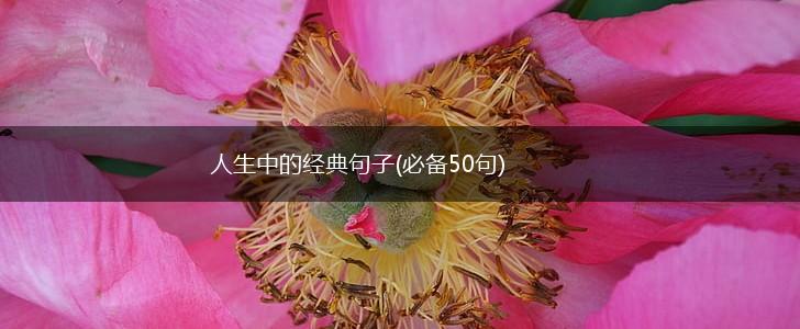 人生中的经典句子(必备50句),第1张