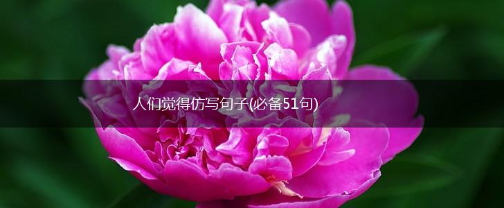人们觉得仿写句子(必备51句),第1张
