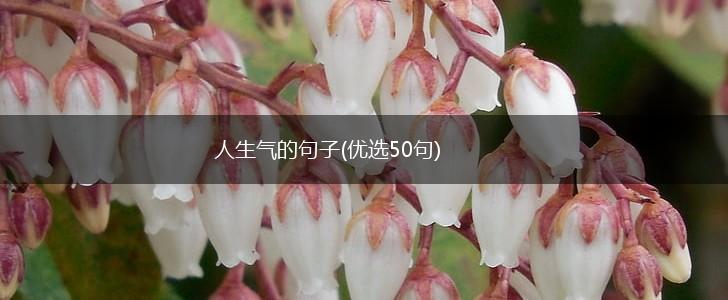 人生气的句子(优选50句),第1张