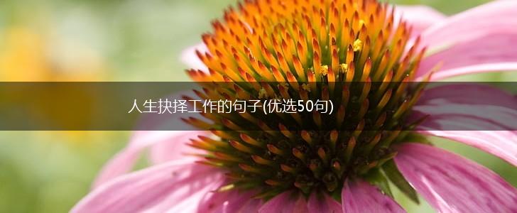 人生抉择工作的句子(优选50句),第1张