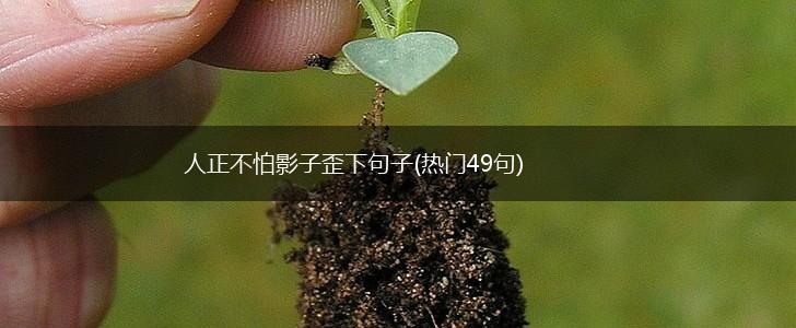 人正不怕影子歪下句子(热门49句),第1张