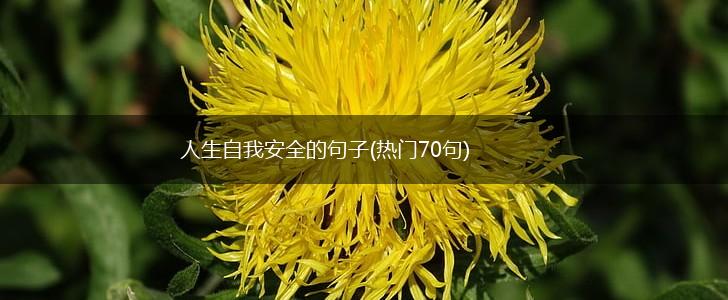 人生自我安全的句子(热门70句),第1张
